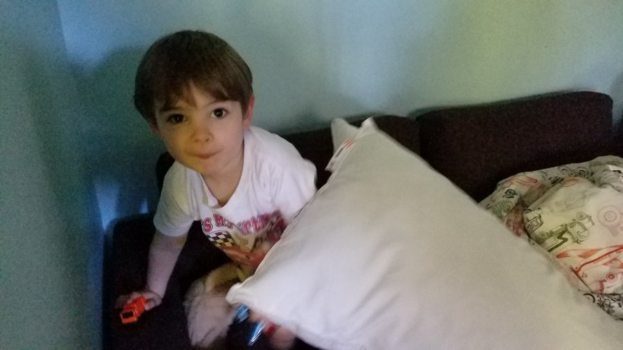 Caught red handed stealing the Ikea pillows.